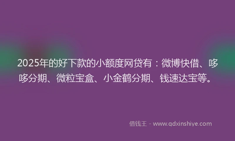 2025年的好下款的小额度网贷有：微博快借、哆哆分期、微粒宝盒、小金鹤分期、钱速达宝等。