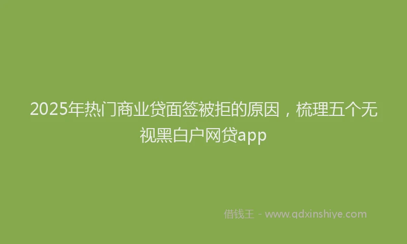 2025年热门商业贷面签被拒的原因，梳理五个无视黑白户网贷app