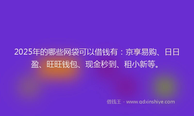 2025年的哪些网袋可以借钱有：京享易购、日日盈、旺旺钱包、现金秒到、租小新等。