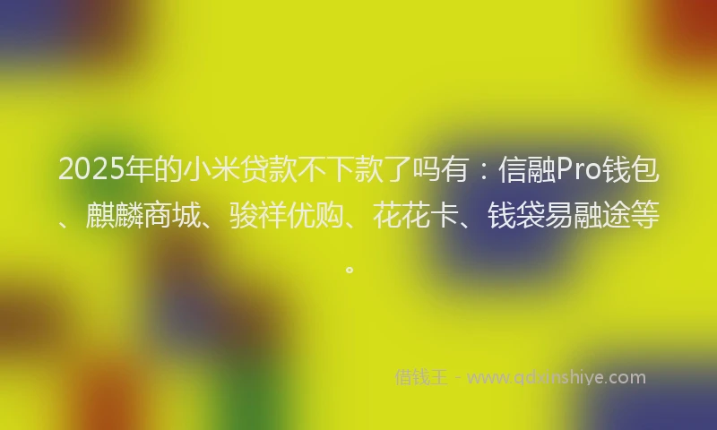 2025年的小米贷款不下款了吗有：信融Pro钱包、麒麟商城、骏祥优购、花花卡、钱袋易融途等。