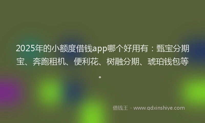 2025年的小额度借钱app哪个好用有：甄宝分期宝、奔跑租机、便利花、树融分期、琥珀钱包等。