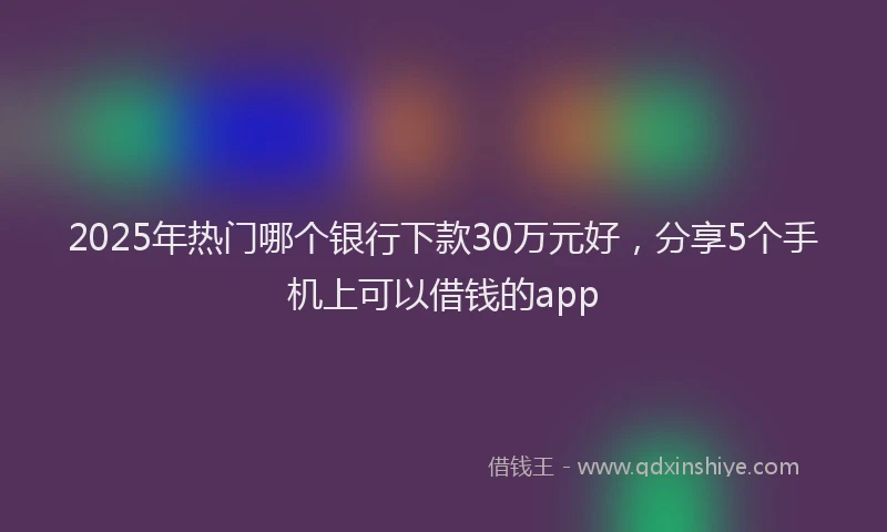 2025年热门哪个银行下款30万元好，分享5个手机上可以借钱的app