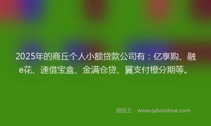 2025年的商丘个人小额贷款公司有：亿享购、融e花、速借宝盒、金满仓贷、翼支付橙分期等。