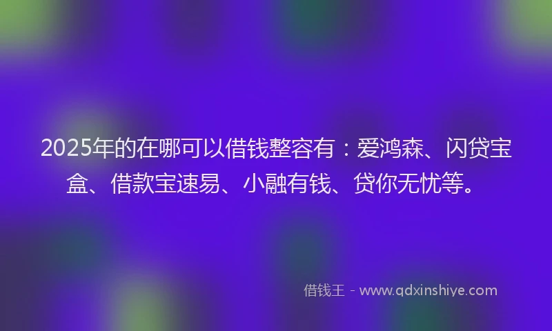 2025年的在哪可以借钱整容有：爱鸿森、闪贷宝盒、借款宝速易、小融有钱、贷你无忧等。