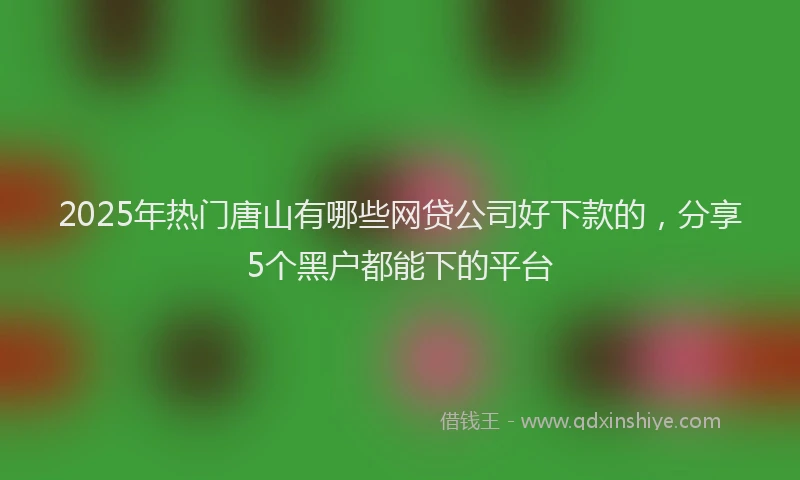 2025年热门唐山有哪些网贷公司好下款的，分享5个黑户都能下的平台