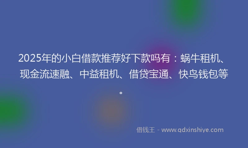 2025年的小白借款推荐好下款吗有：蜗牛租机、现金流速融、中益租机、借贷宝通、快鸟钱包等。