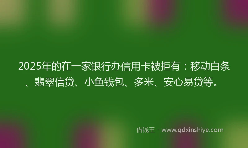 2025年的在一家银行办信用卡被拒有：移动白条、翡翠信贷、小鱼钱包、多米、安心易贷等。