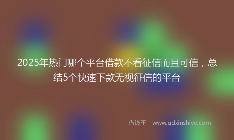 2025年热门哪个平台借款不看征信而且可信，总结5个快速下款无视征信的平台