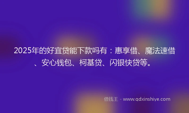 2025年的好宜贷能下款吗有：惠享借、魔法速借、安心钱包、柯基贷、闪银快贷等。