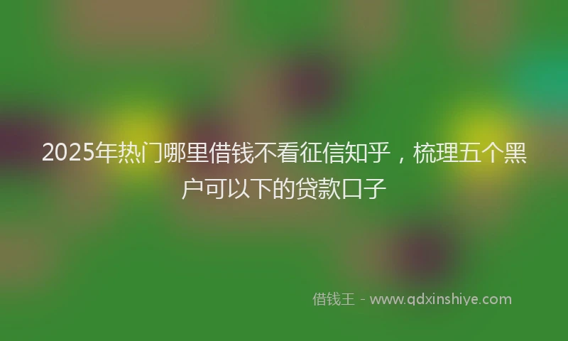 2025年热门哪里借钱不看征信知乎，梳理五个黑户可以下的贷款口子