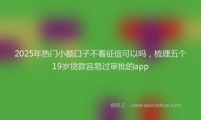 2025年热门小额口子不看征信可以吗,梳理五个19岁贷款容易过审批的app