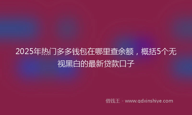 2025年热门多多钱包在哪里查余额，概括5个无视黑白的最新贷款口子