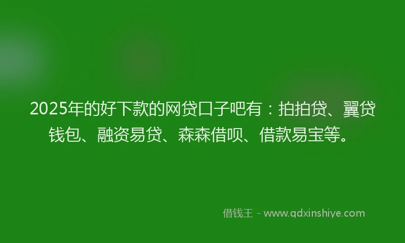 2025年的好下款的网贷口子吧有：拍拍贷、翼贷钱包、融资易贷、森森借呗、借款易宝等。