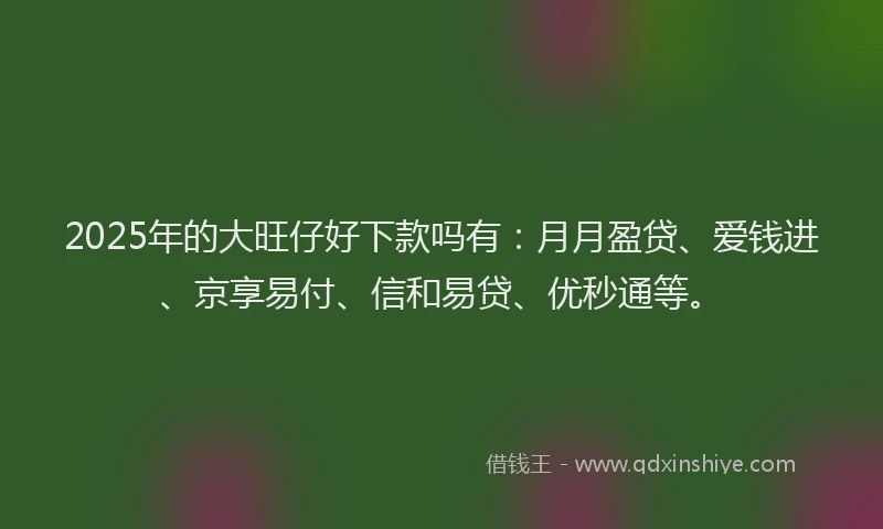 2025年的大旺仔好下款吗有：月月盈贷、爱钱进、京享易付、信和易贷、优秒通等。