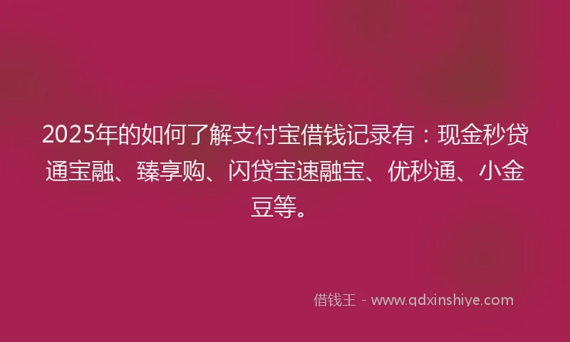 2025年的如何了解支付宝借钱记录有：现金秒贷通宝融、臻享购、闪贷宝速融宝、优秒通、小金豆等。
