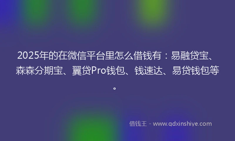 2025年的在微信平台里怎么借钱有：易融贷宝、森森分期宝、翼贷Pro钱包、钱速达、易贷钱包等。