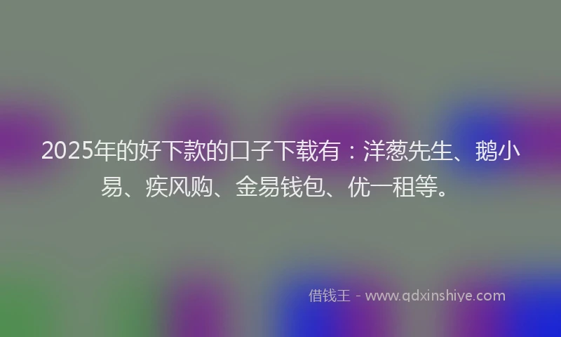 2025年的好下款的口子下载有：洋葱先生、鹅小易、疾风购、金易钱包、优一租等。