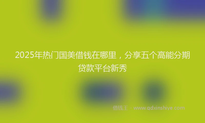 2025年热门国美借钱在哪里，分享五个高能分期贷款平台新秀