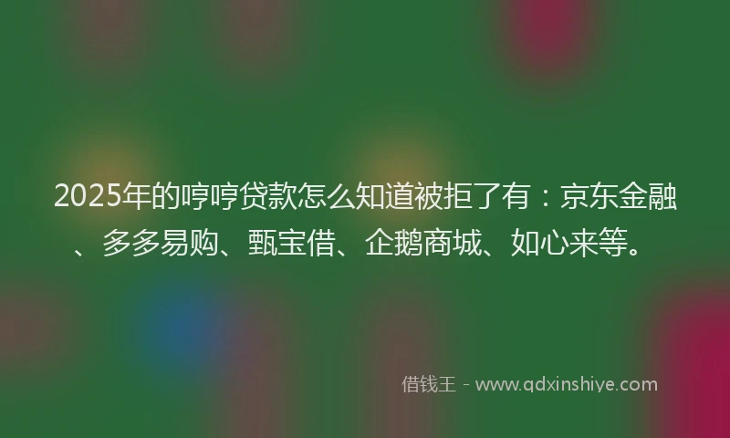 2025年的哼哼贷款怎么知道被拒了有：京东金融、多多易购、甄宝借、企鹅商城、如心来等。