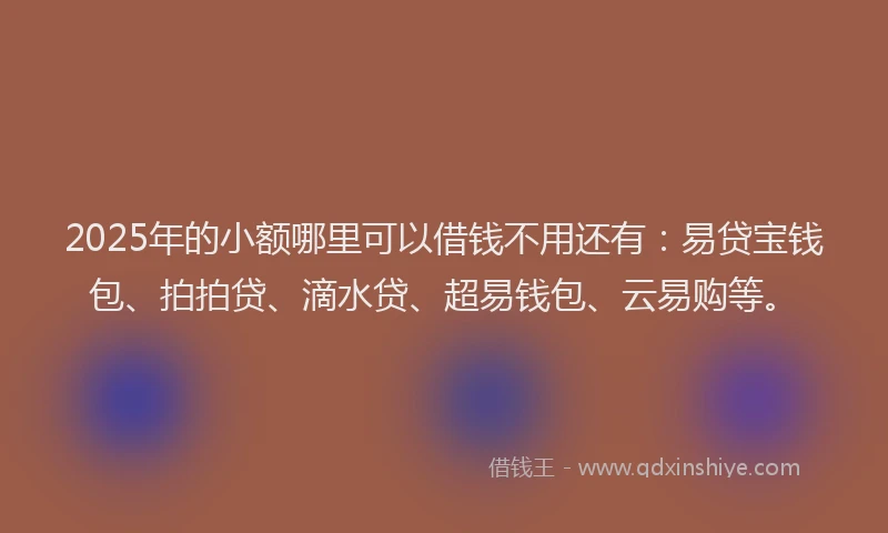 2025年的小额哪里可以借钱不用还有:易贷宝钱包、拍拍贷、滴水贷、超易钱包、云易购等。