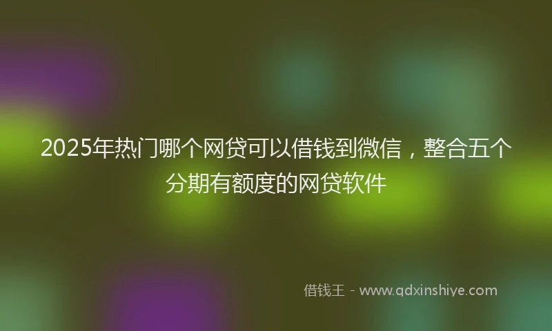 2025年热门哪个网贷可以借钱到微信，整合五个分期有额度的网贷软件