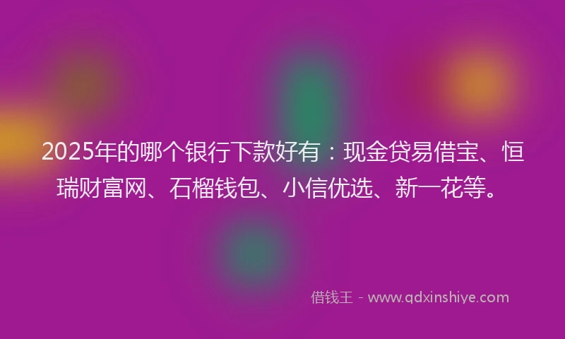 2025年的哪个银行下款好有：现金贷易借宝、恒瑞财富网、石榴钱包、小信优选、新一花等。