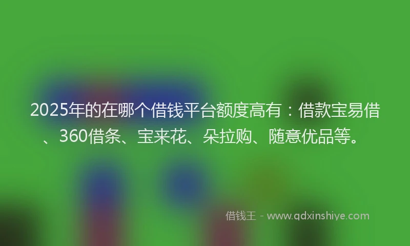 2025年的在哪个借钱平台额度高有：借款宝易借、360借条、宝来花、朵拉购、随意优品等。