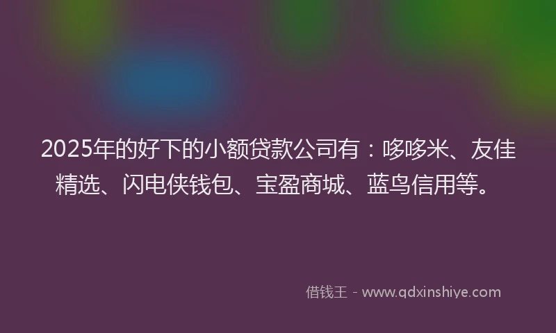 2025年的好下的小额贷款公司有：哆哆米、友佳精选、闪电侠钱包、宝盈商城、蓝鸟信用等。