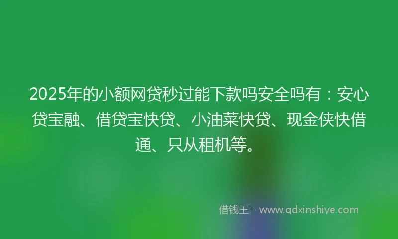 2025年的小额网贷秒过能下款吗安全吗有：安心贷宝融、借贷宝快贷、小油菜快贷、现金侠快借通、只从租机等。
