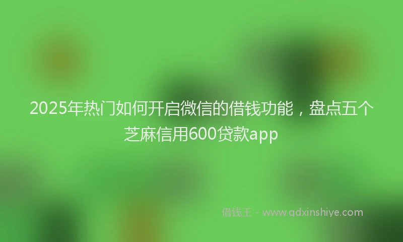 2025年热门如何开启微信的借钱功能，盘点五个芝麻信用600贷款app