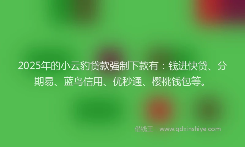 2025年的小云豹贷款强制下款有：钱进快贷、分期易、蓝鸟信用、优秒通、樱桃钱包等。