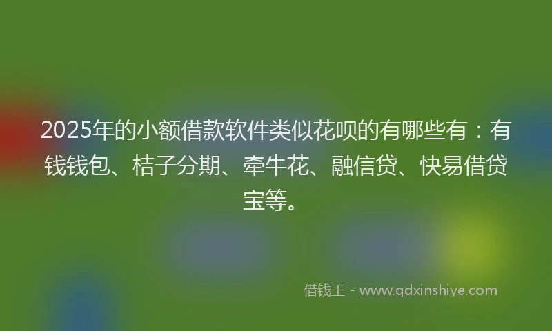 2025年的小额借款软件类似花呗的有哪些有：有钱钱包、桔子分期、牵牛花、融信贷、快易借贷宝等。