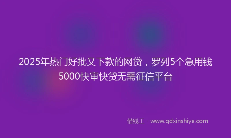2025年热门好批又下款的网贷，罗列5个急用钱5000快审快贷无需征信平台