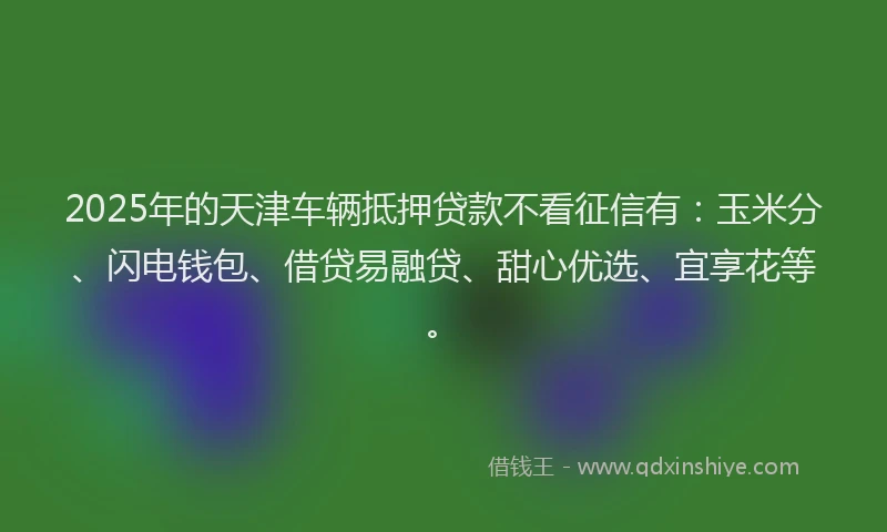 2025年的天津车辆抵押贷款不看征信有：玉米分、闪电钱包、借贷易融贷、甜心优选、宜享花等。