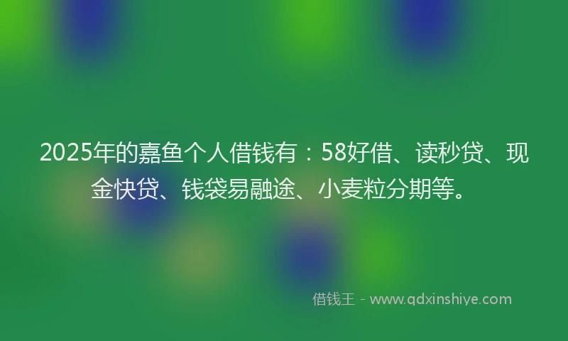 2025年的嘉鱼个人借钱有：58好借、读秒贷、现金快贷、钱袋易融途、小麦粒分期等。