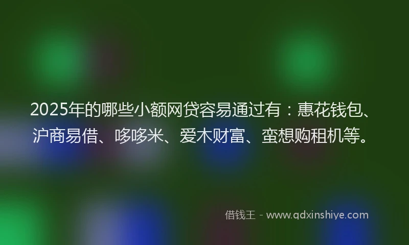 2025年的哪些小额网贷容易通过有：惠花钱包、沪商易借、哆哆米、爱木财富、蛮想购租机等。