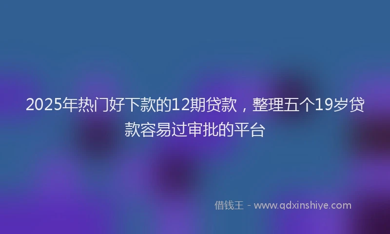 2025年热门好下款的12期贷款，整理五个19岁贷款容易过审批的平台