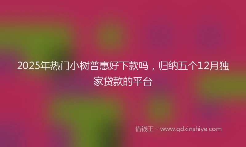 2025年热门小树普惠好下款吗，归纳五个12月独家贷款的平台