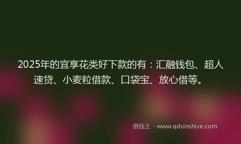 2025年的宜享花类好下款的有：汇融钱包、超人速贷、小麦粒借款、口袋宝、放心借等。