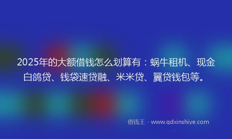 2025年的大额借钱怎么划算有：蜗牛租机、现金白鸽贷、钱袋速贷融、米米贷、翼贷钱包等。