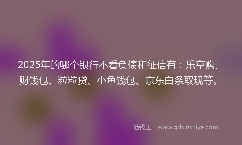 2025年的哪个银行不看负债和征信有：乐享购、财钱包、粒粒贷、小鱼钱包、京东白条取现等。