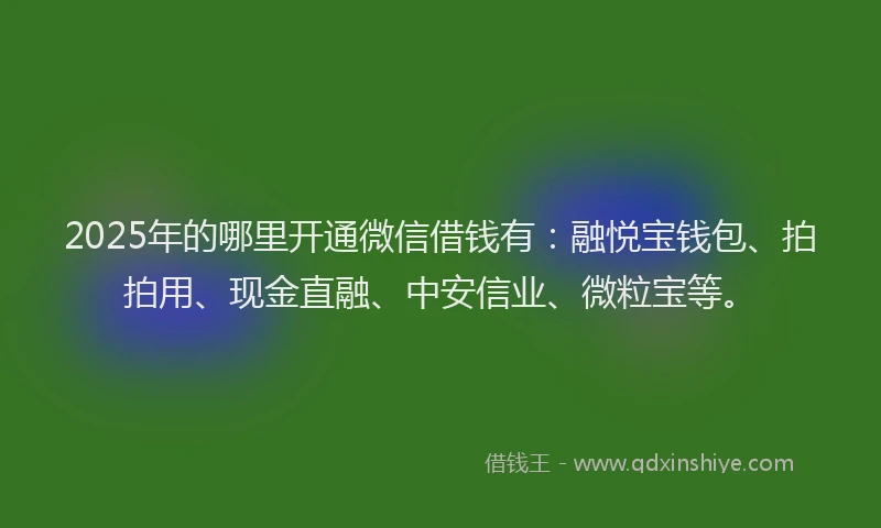 2025年的哪里开通微信借钱有：融悦宝钱包、拍拍用、现金直融、中安信业、微粒宝等。