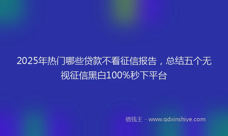 2025年热门哪些贷款不看征信报告，总结五个无视征信黑白100%秒下平台