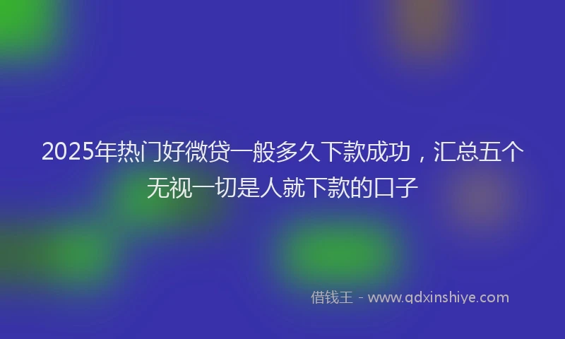 2025年热门好微贷一般多久下款成功，汇总五个无视一切是人就下款的口子