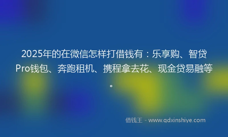 2025年的在微信怎样打借钱有：乐享购、智贷Pro钱包、奔跑租机、携程拿去花、现金贷易融等。