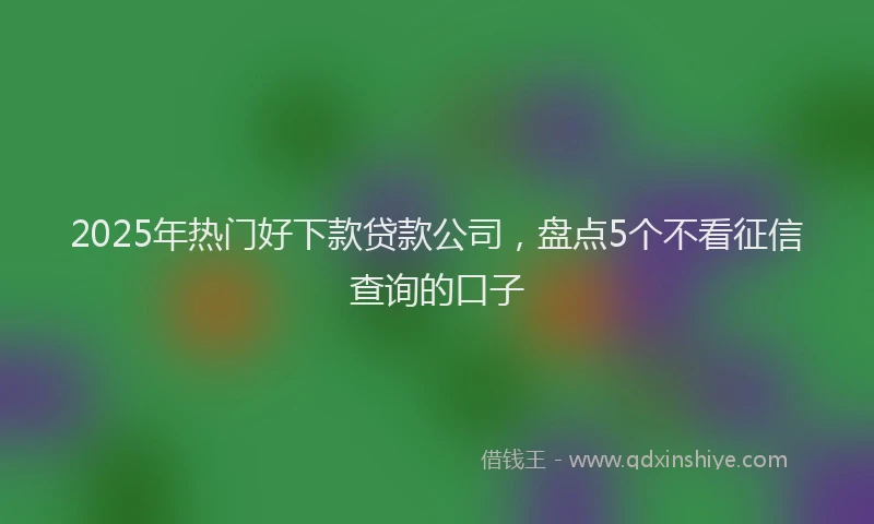 2025年热门好下款贷款公司,盘点5个不看征信查询的口子