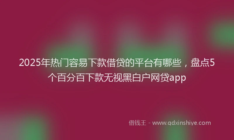 2025年热门容易下款借贷的平台有哪些，盘点5个百分百下款无视黑白户网贷app
