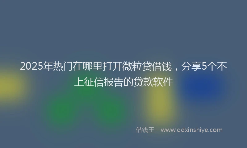 2025年热门在哪里打开微粒贷借钱，分享5个不上征信报告的贷款软件