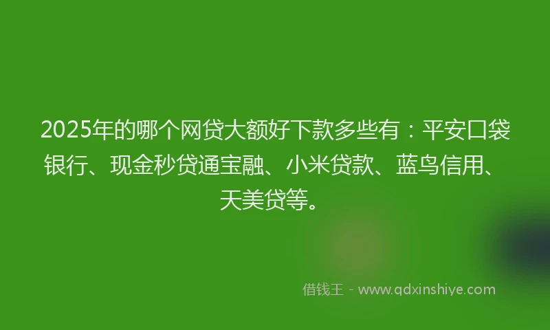 2025年的哪个网贷大额好下款多些有：平安口袋银行、现金秒贷通宝融、小米贷款、蓝鸟信用、天美贷等。
