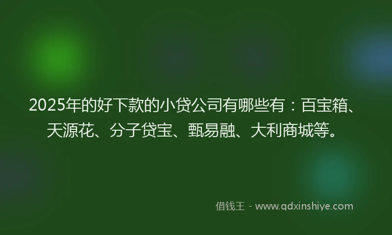 2025年的好下款的小贷公司有哪些有：百宝箱、天源花、分子贷宝、甄易融、大利商城等。